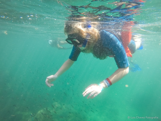  Descobrindo a vida marinha 