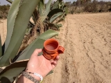 Corn tour and muéganos workshop in Chiautempan