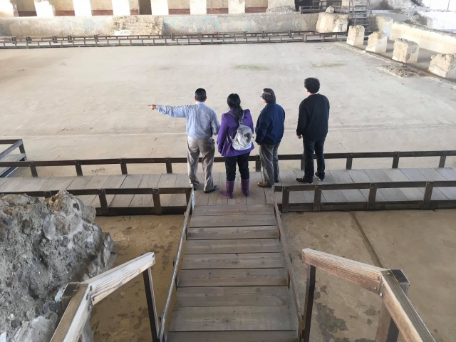  Guided archaeological tour 