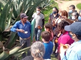 Tour de pulque y bosque de luciérnagas Nanacamilpa