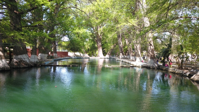 Nada en aguas de manantial
