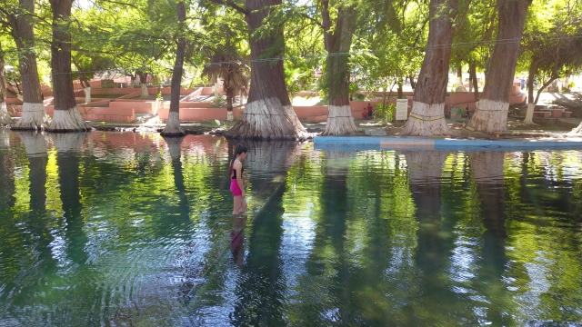 Disfrutando de la naturaleza