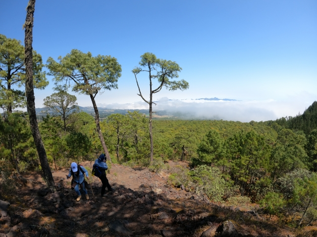  Panoramablick 
