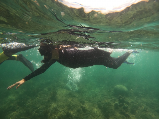 Nager dans la mer 