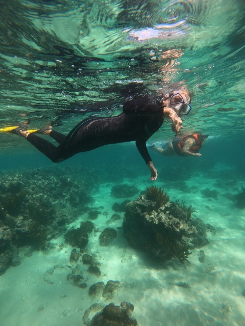  Récif de corail 