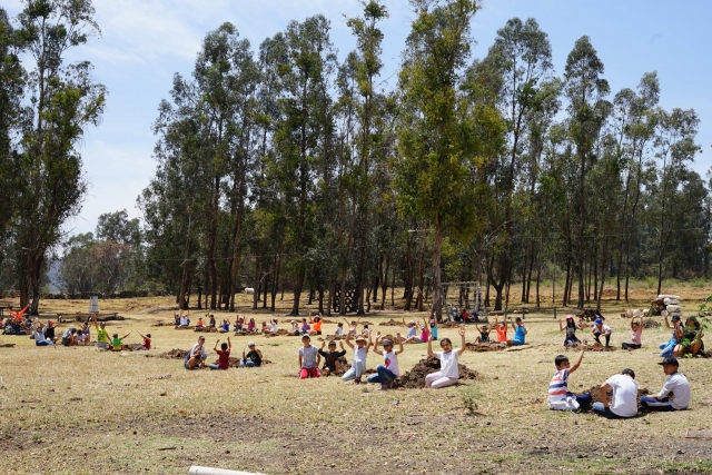  Atividades na floresta 