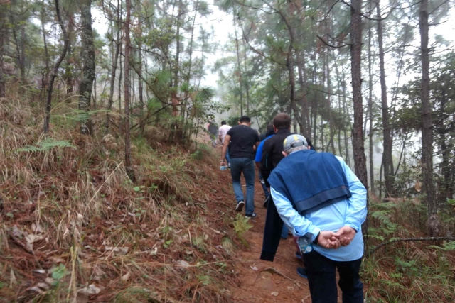 Caminando por el bosque