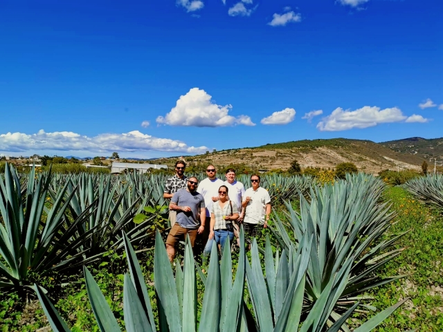  Tra i magueyes 