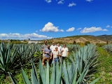 Walk and mezcal tasting in Miahuatlán 10 hours
