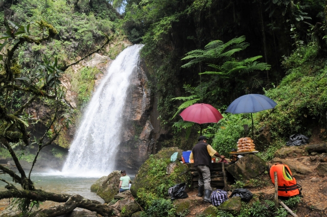 Cascadas y naturaleza