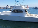 Pesca em Mazatlan em iate por 10 Pax 5 horas