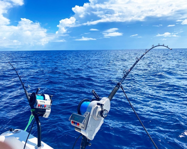  Canne da pesca 