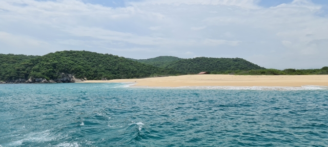 Bays 