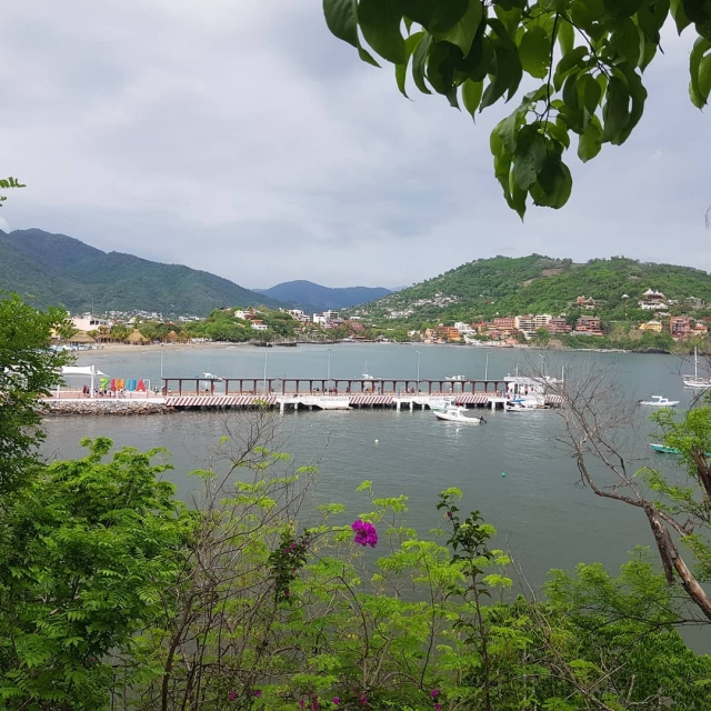  Plonger dans la baie 