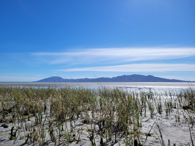  Dunes 