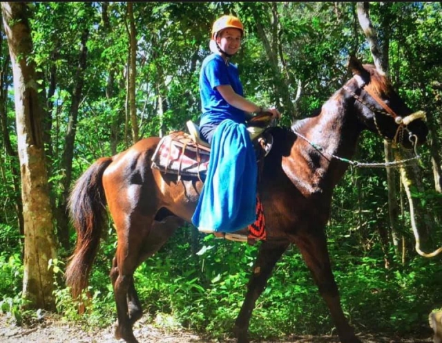  andar de cavalo