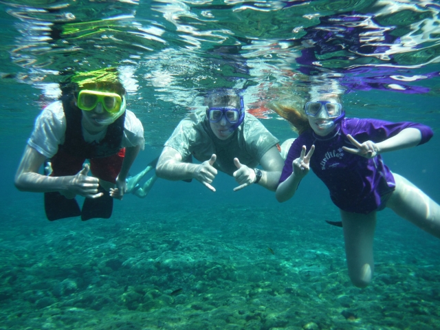  Group snorkeling 