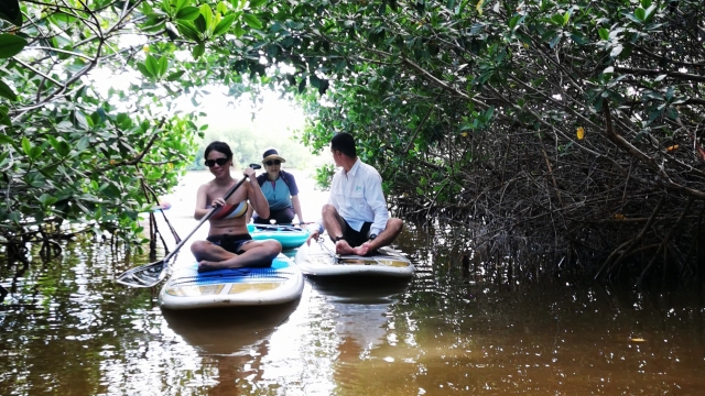  Passagem entre os túneis de mangue 