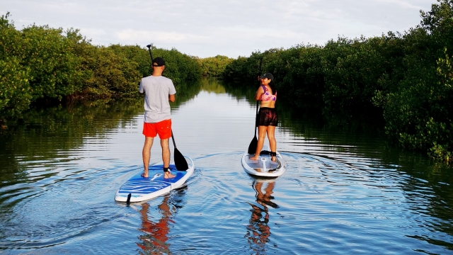 viaja os canais de mangue na prancha de paddle 