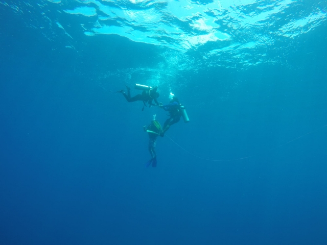 Immersioni per professionisti 