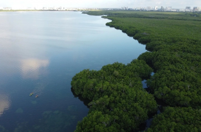  View towards the lagoon 