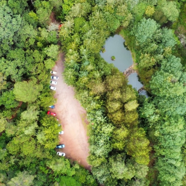  Godetevi il bosco 