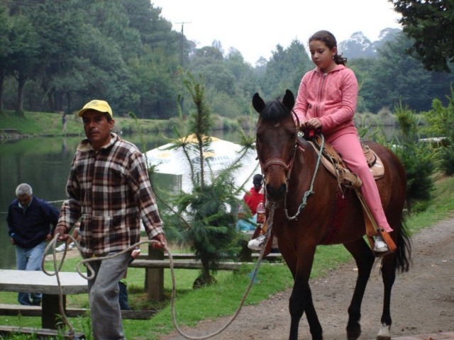 Passeggiate a cavallo per bambini 