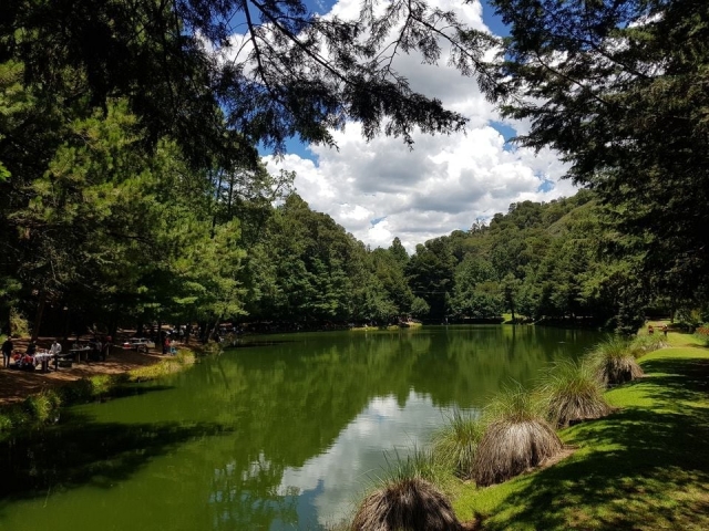  Áreas verdes 