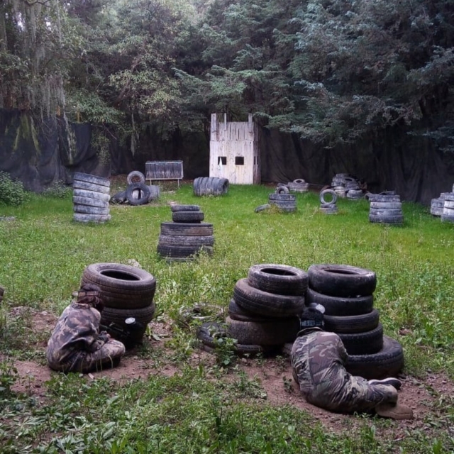 陷阱场 