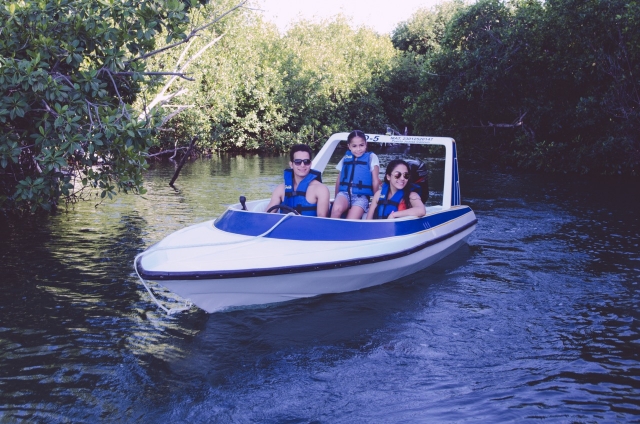 Schnellboot durch die Mangroven 