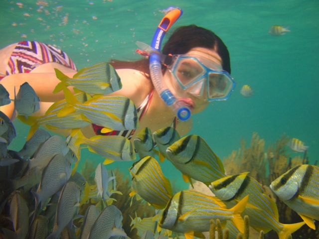 Snorkeling 