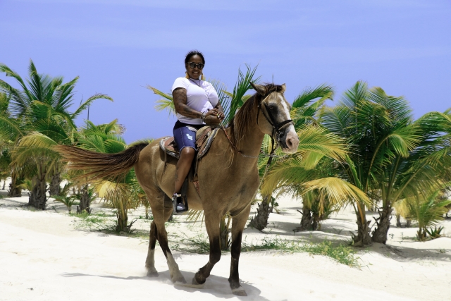  Beach tour 