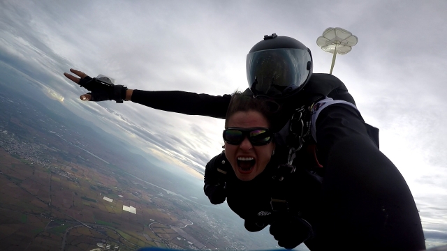  Free fall 