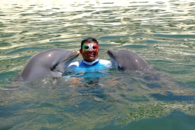 Delfines abraço 