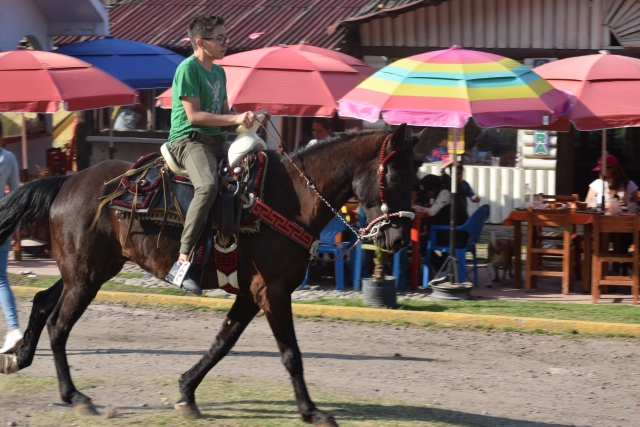 Escursione guidata a cavallo 