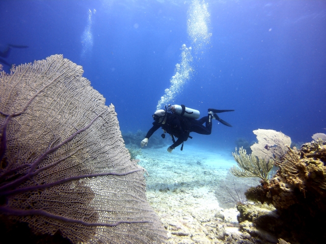  nuotare nell'occhio d'acqua 