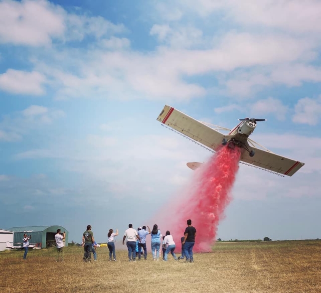  Fliegen mit rosa Wasser