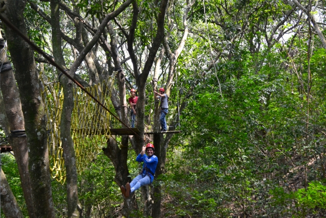  Circuito de Canopy 