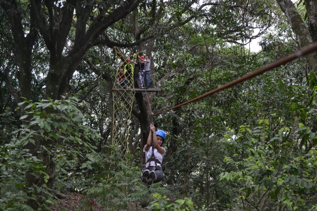 Tirolesas Y Puentes 