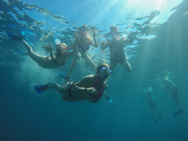 Immergé dans les eaux des îles 