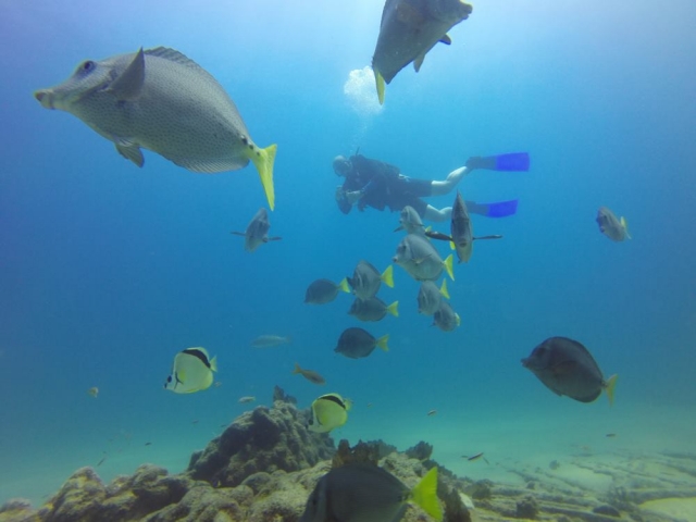  Exploration des profondeurs de la mer 