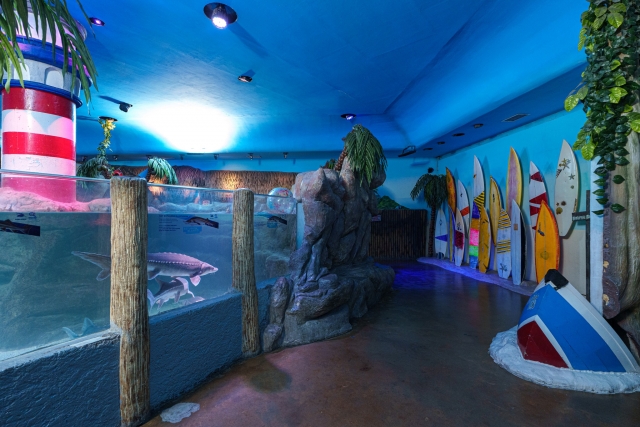 Zonas recreativas en acuario