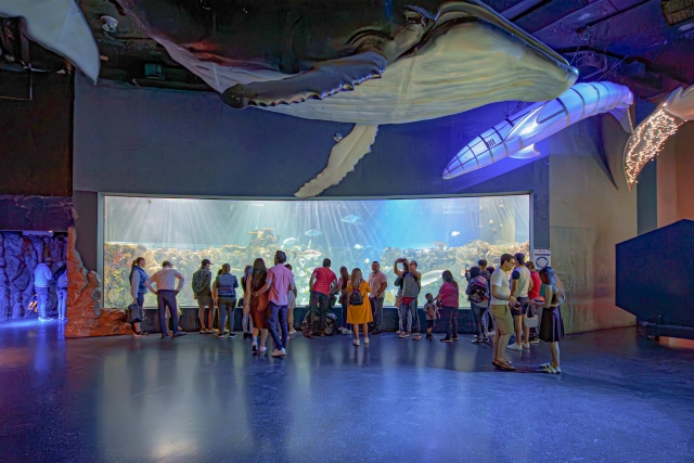 Grupo en acuario
