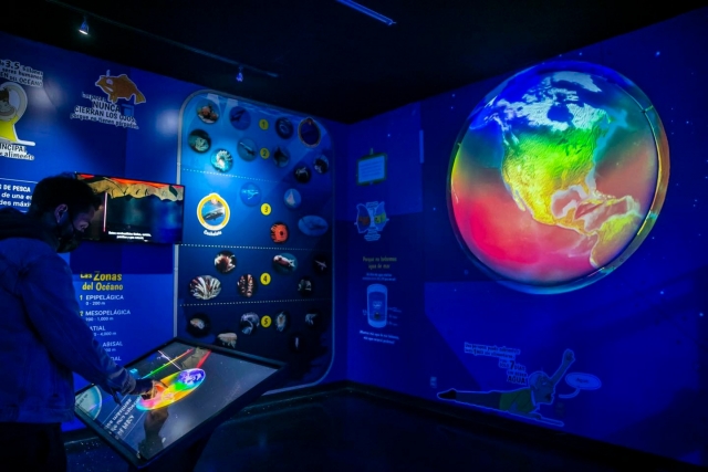  Curiosità sull'oceano 