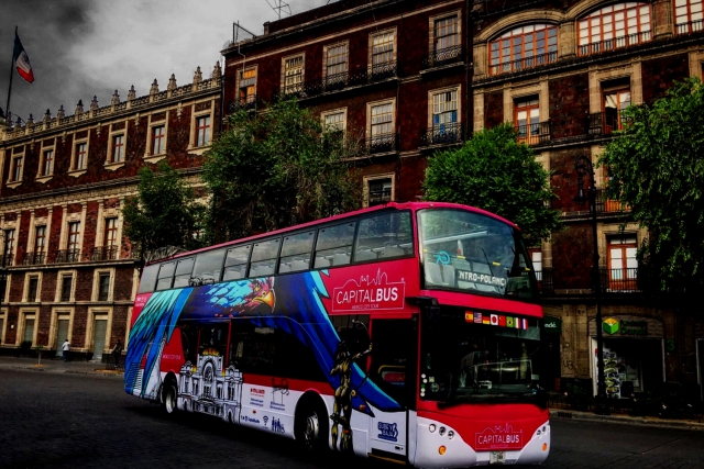  Tour notturno in autobus turistico 
