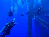 Cours avancée en eau libre à Veracruz, 3 jours