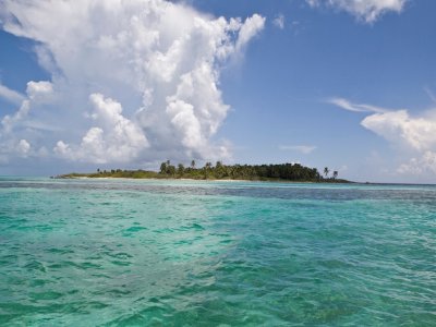 Tour en barco a Isla Contoy y snorkel niños 7 h