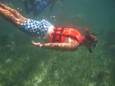 Classic snorkeling in Puerto Morelos