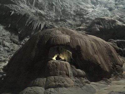 Visite de la canopée de Sótano del Cepillo + descente en rappel 2 jours