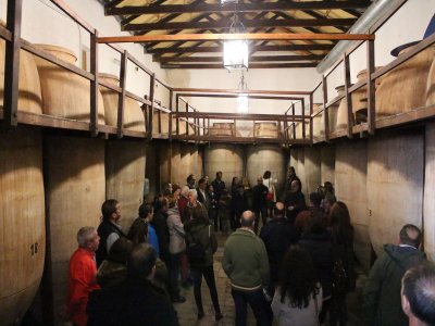 Visita laborables en bodega de Valdepeñas